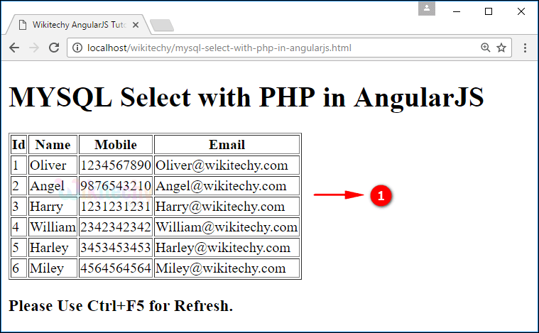 Sample Output for AngularJS select using PHP Mysql