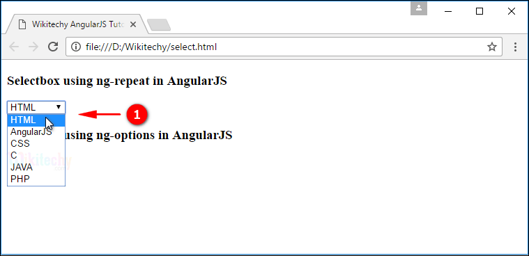 Sample Output for AngularJS Select Box