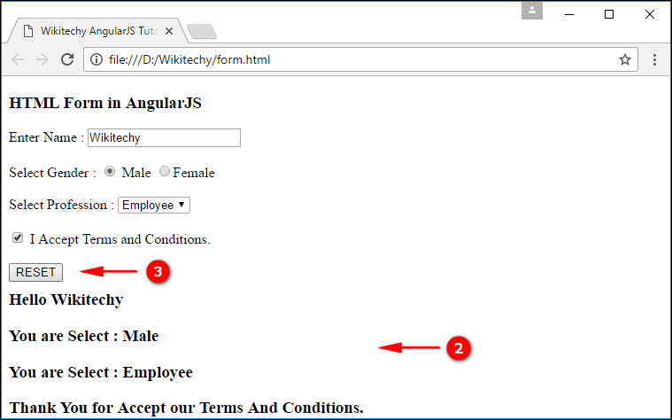 Sample Output2 for AngularJS Forms