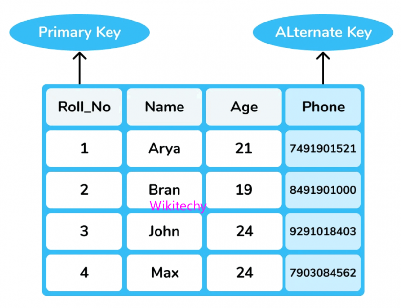 Alternate Key In Dbms