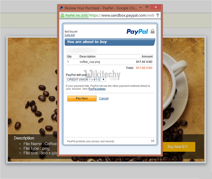  paypal-express-checkout-for-digital-goods-click-for-buy