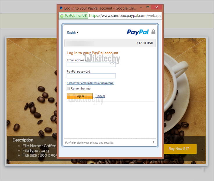  paypal-express-checkout-for-digital-goods-login-via-paypal