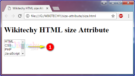 size Attribute Tag Output