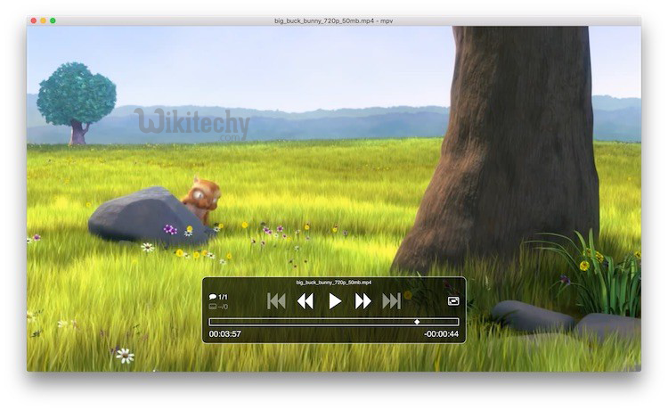 best vedio player for mac